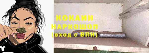 соль ск Бородино