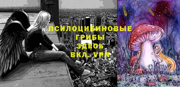 амфетамин Богородск