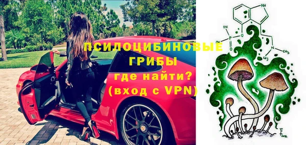 соль ск Бородино