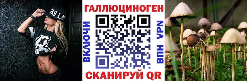 где купить наркотик  Яровое  Галлюциногенные грибы мухоморы 